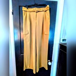 NWT Express High Rise Cargo Trousers